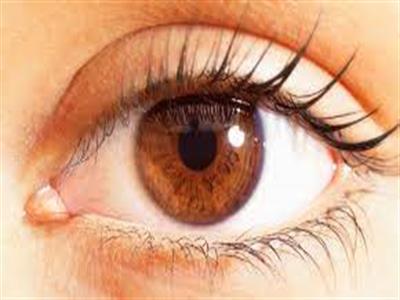 eye
